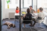 Budapest, VIII. kerület Büro 21