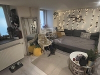 Budapest, VIII. kerület Wohnung (Ziegel) 0