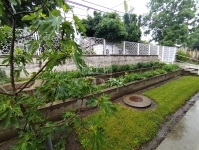 Budapest, XVI. kerület 家庭别墅 12