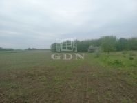 Budapest, XXIII. kerület Agricultural area 4