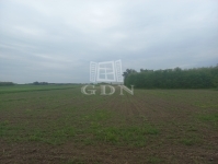 Budapest, XXIII. kerület Agricultural area 2