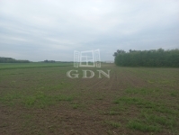 Budapest, XXIII. kerület Agricultural area 0