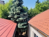 Budapest, X. kerület Üzlethelyiség 8