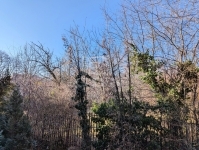 Budapest, II. kerület Lakás (téglaépítésű) 5