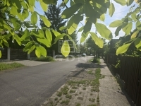 Budapest, XVII. kerület Совмещенный дом 46