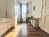 Budapest, VI. kerület Wohnung (Ziegel) 9