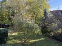 Budapest, XI. kerület Lakás (téglaépítésű) 36