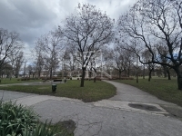 Budapest, XV. kerület Lakás (panel) 12