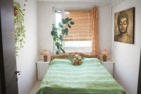 Budapest, XIV. kerület Lakás (panel) 11