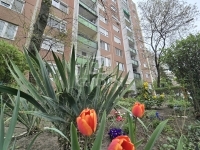 Budapest, IV. kerület Lakás (panel) 19