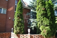 Budapest, II. kerület 双面别墅 17