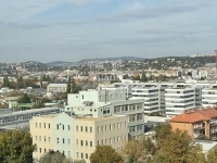 Budapest, XI. kerület 公寓房（砖头） 26