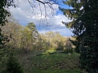 Budapest, XII. kerület 家庭别墅 21