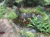 Budapest, XXII. kerület Családi ház 19