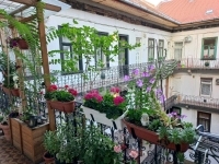 Budapest, VII. kerület Locuinta (caramida) 1