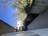 Budapest, XIII. kerület Квартира (кирпичная) 1