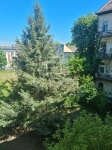 Budapest, X. kerület Квартира (кирпичная) 11