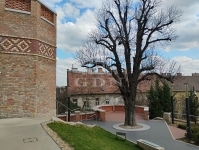 Budapest, II. kerület Lakás (téglaépítésű) 22