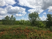 Budapest, XVI. kerület 家庭别墅 13