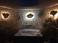 Budapest, XVI. kerület 家庭别墅 4