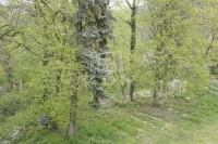 Budapest, II. kerület Kastély, kúria 16