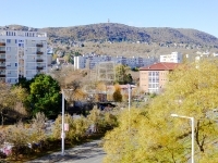 Budapest, III. kerület Lakás (panel) 14