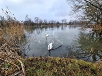 Budapest, XXIII. kerület Частный дом 24
