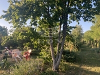 Budapest, XXII. kerület 土地 0