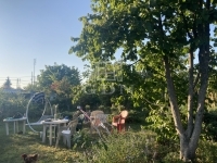 Budapest, XXII. kerület 土地 13