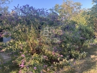 Budapest, XXII. kerület 土地 3