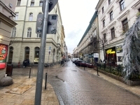 Budapest, VII. kerület 公寓房（砖头） 17